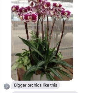 Meet your Posher, Loan